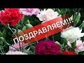 МОЕЙ МАМЕ 50 и 180 месяцев...кажись)))