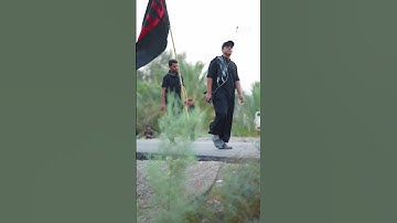 تلاوة القارئ محمود الشحات سورة الفرقان - آية 63