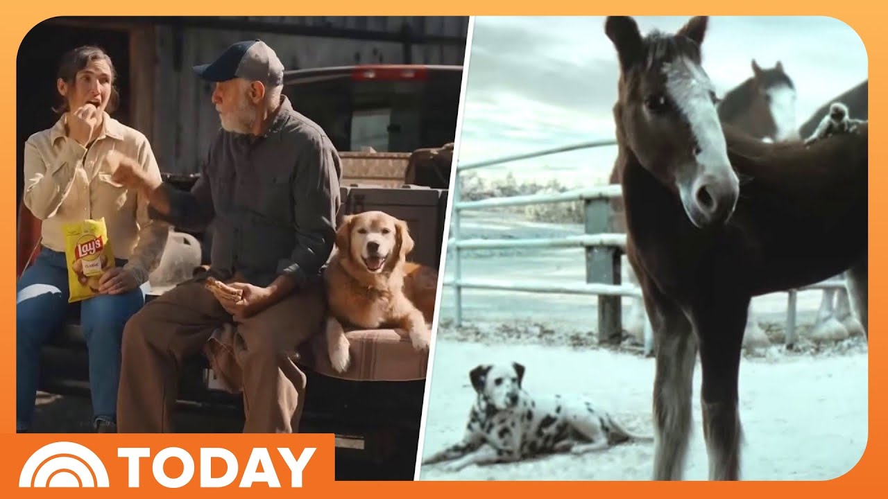 Super Bowl Commercials Ranked: See Which Came Out on Top!