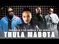 Shakes & Les X Zee Nxumalo X 031 Choppa - Thula mabota (Official Audio)