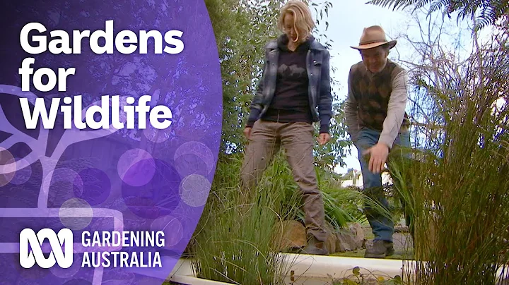 Make your garden wildlife friendly | Gardening for Wildlife | Gardening Australia