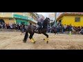 🐎🎉Desfile Hípico  Guatemala🇬🇹 San Martin Jilotepeque 🐴🎉