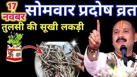 17 नवंबर सोमवार प्रदोष व्रत को तुलसी के सूखी लकड़ी वाला उपाय जरूर करे | pandit pradeep mishra ji 