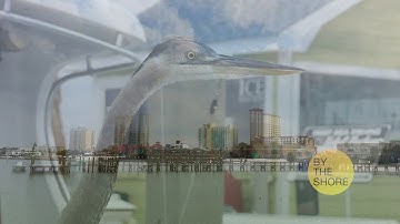 vic 3001 module 3 activity 2