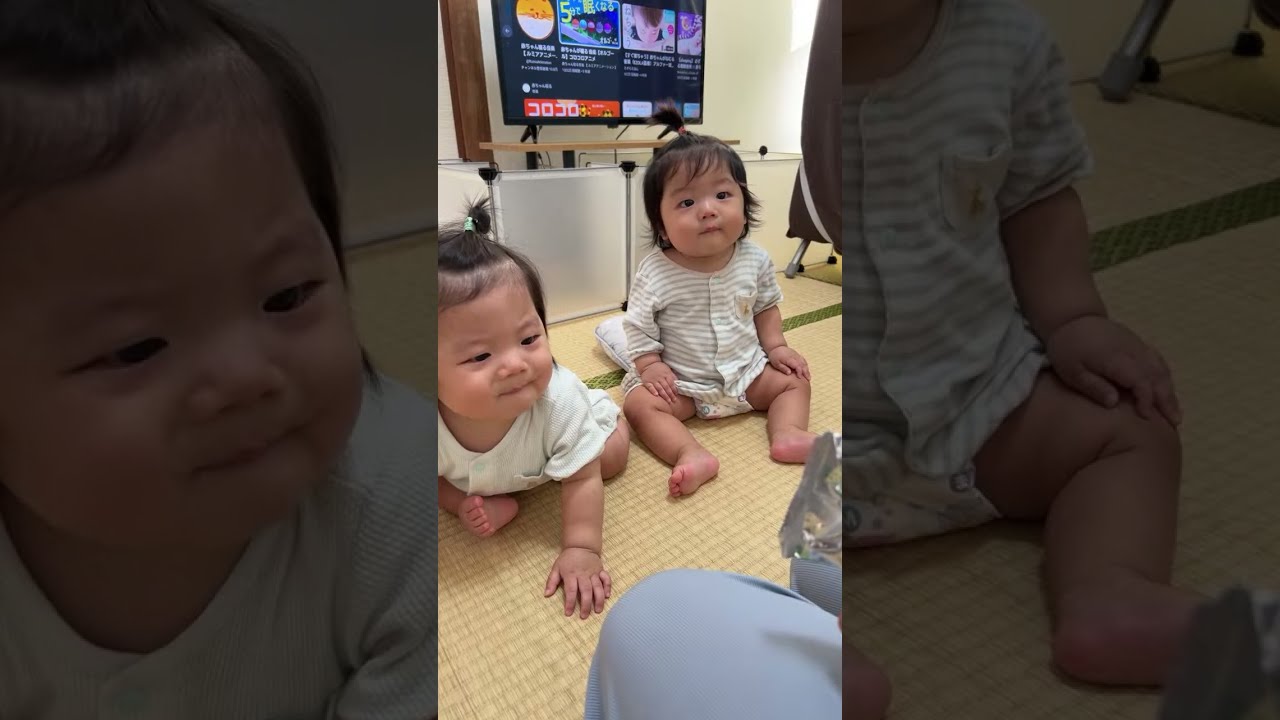 双子の日常 ライブ配信 - YouTube