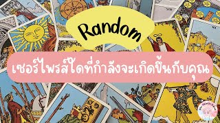 Random | (Timeless) เซอร์ไพรส์ใดที่กำลังจะเกิดขึ้นกับคุณ