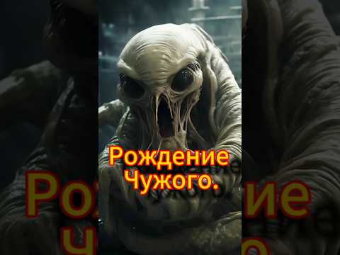 Редчайшие кадры вылупления из Оотеки. #animals #животные #shorts