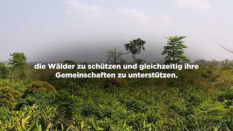 Overarching - Nestlé Cocoa Plan (DE)