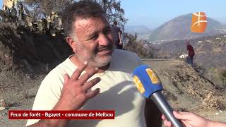 Feux de forêt à Béjaia - commune de Melbou