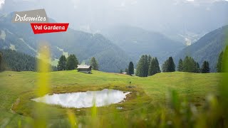 August vibes in Val Gardena | FPV Drone