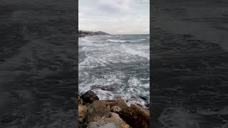 Barış Manço Sahilde Resimi