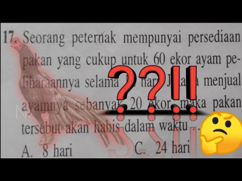 Video: Saya Sommelier, Berikut Adalah 7 Anggur Terbaik Yang Terjangkau Untuk Dibawa Ke Pesta Liburan Anda (plus Satu Berbelanja Secara Royal) - Matador Network