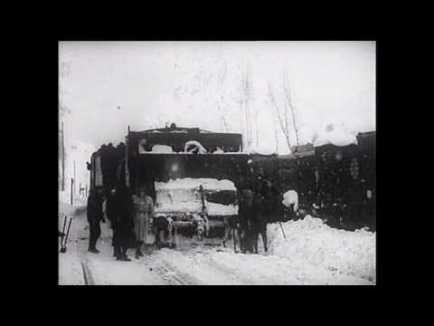 Vídeo: Trenes De Crosta Curta