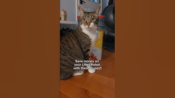 Cheap Litter Robot Dupes to Save Money in this economy #catshorts #litterrobot #catowner