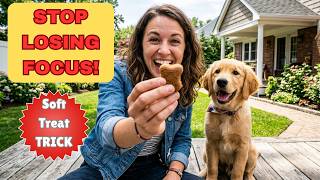 How to Train Dogs Faster Using Soft Treats (Interactive Dog Training Method) screenshot 3