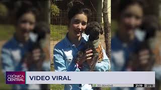 Amor incondicional: murió hace 4 años y su perro se emociona al visitarla en el cementerio