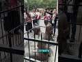 Inilah Alasan Patung Di Cina Di pukuli.