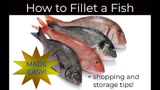 How to Fillet a Fish-Made Easy| Buying and Storing Seafood Tips