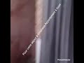Ndeko Omitunaka Pona Nini Batu Ba Bundisaka Yo Yaka Oyoka ЁЯЩП Ndeko Omitunaka Pona Nini Batu Ba Bundisaka Yo Yaka Oyoka ЁЯЩП