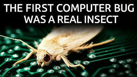 The First Computer Bug Was a Real Insect