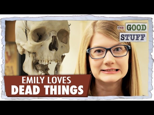 Emily Loves Dead Things
