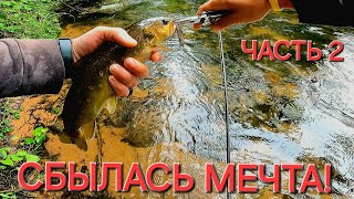 Рыбалка на малых реках и ручьях!#fishing #troutfishing #browntrout browntr#рыбалка