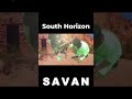 SAVAN - South Hroizon short