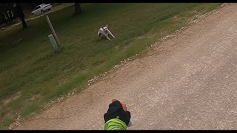 HOW TO STOP DOG ATTACK with AIRHORN w/Amputee Cyclist Aaron Smith
