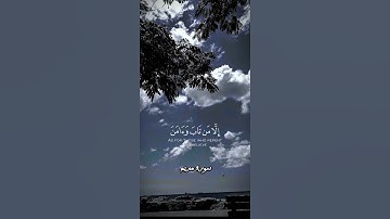 ما تيسر من سورة مريم للقارئ الشيخ وديع اليمنى