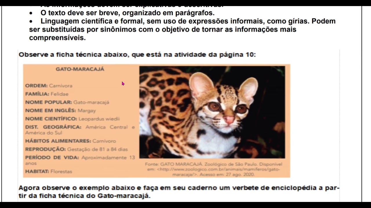 Aula de Língua Portuguesa - Produzir verbete de enciclopédia a partir ...