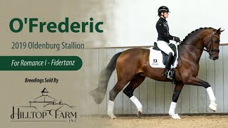 Ofrederic For Romance I-Fidertanz - Kwpn & Hanoverian Approved Stallion