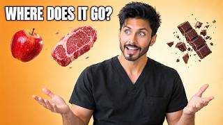 You Don't Get Energy From Food. You Build It. (The Lesson You Never Got, In Plain English)