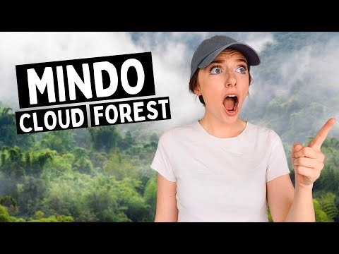 Epic Hiking Adventures in Ecuador's Cloud Forest! (DIY Bird Watching Mindo)