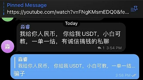 电报 Telegram 币圈诈骗套路揭秘，先钱后u？日赚2000元？ - 天天要闻