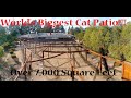 World's Largest Cat Patio (Catio) - Over 7000 Square Feet!