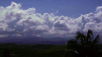 The emergence of a free and open source global operating system