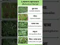 Common Weeds &amp; Their Botanical Names | Agriculture Important Questions