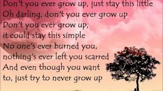 taylor swift - never grow up lyrics