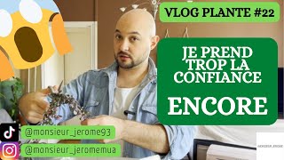 VLOG PLANTE N°22 - Vous n'êtes pas prêt