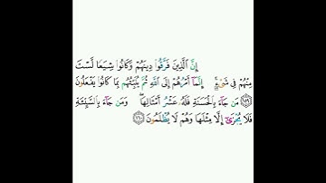 6 - سورة الأنعام ١٥٩-١٦٠ - محمود خليل الحصري