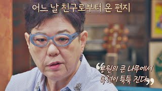 암 투병 시절, 양희은(Yang Hee-Un)의 ＜하얀 목련＞♪ 작사에 영감을 준 친구의 편지✉️ 유명가수전(famous singers) 3회 | JTBC 210416 방송