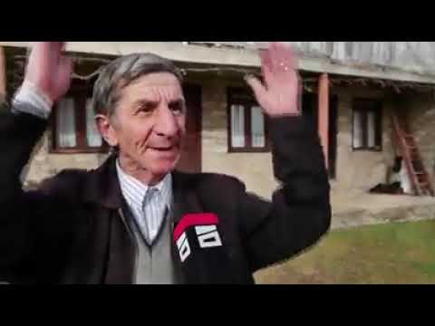 მეგრელი