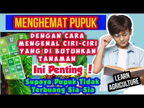 Video: Bilakah perbahasan pemupukan alam bermula?