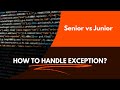 How to handle exception ? Senior dev vs Junior dev