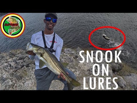 Snook Fishing 101: Snook Bait, Snook Lures And Equipment– Hunting and  Fishing Depot