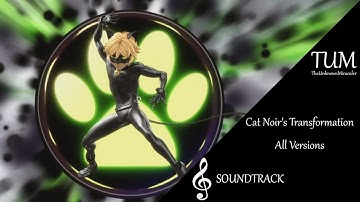 Miraculous: Cat Noir