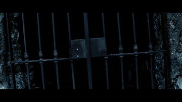 Bad Weather, the horror! | CANON 80D and Zhiyun Weebill S Vortex Mode