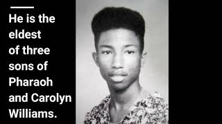 pharell williams net worth