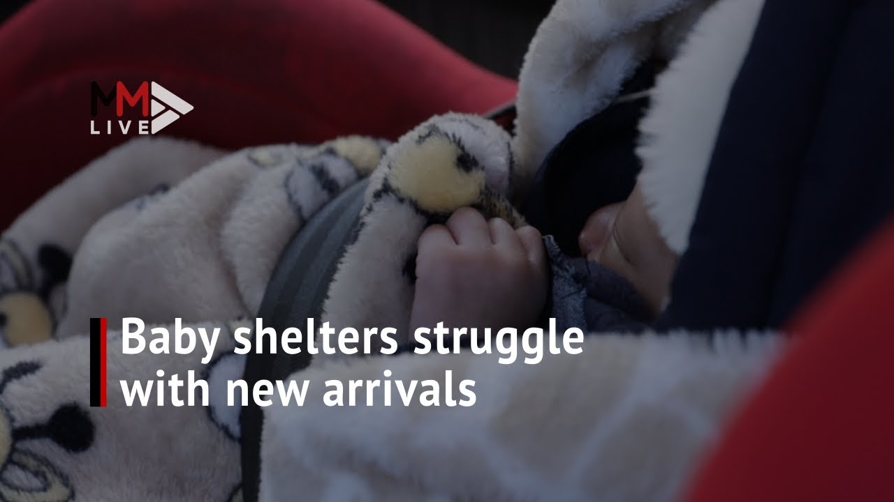Adoptions on hold Shelters struggle with space for newly abandoned