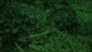 British Army -Part 1 Operation Augustus Helmand, Afghanistan
